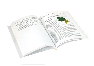  Книга "Особенности производства малых партий виноградных вин" Гугучкина Т. И., Тихонова А. Н.